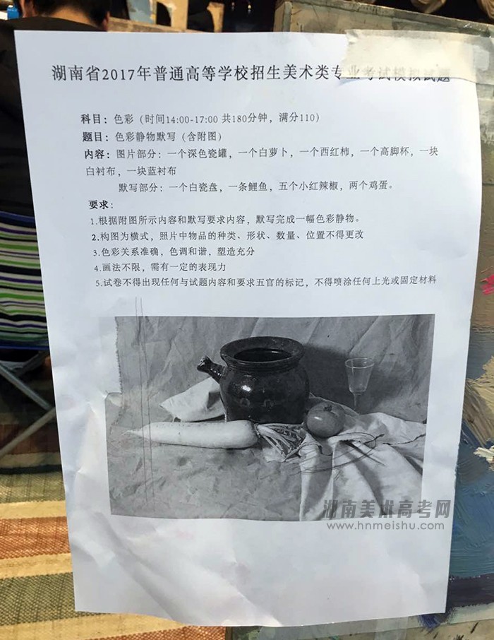湖南省2017年普通高等學(xué)校招生美術(shù)類專業(yè)色彩考試模擬試題