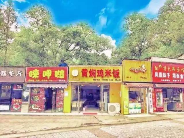 你的名字，我的藝考