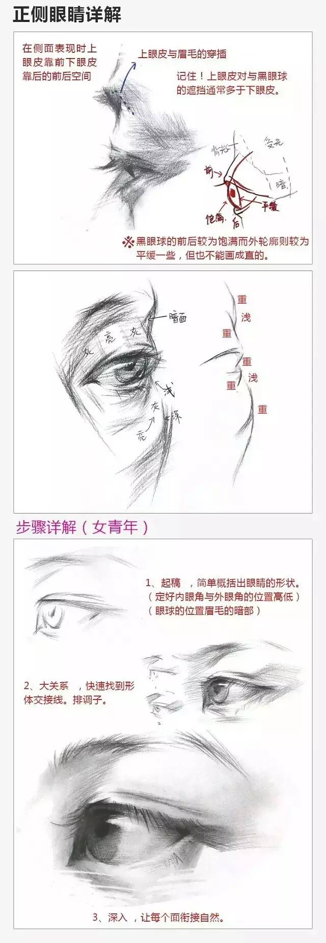 2017年美術(shù)聯(lián)考加分秘籍之頭像五官透徹解析