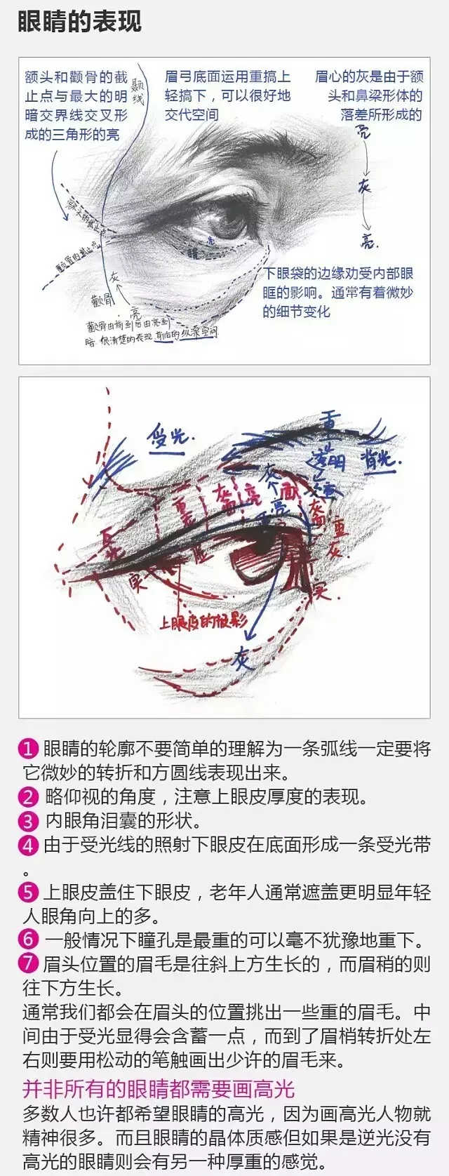 2017年美術(shù)聯(lián)考加分秘籍之頭像五官透徹解析