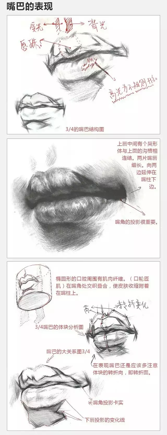 2017年美術(shù)聯(lián)考加分秘籍之頭像五官透徹解析