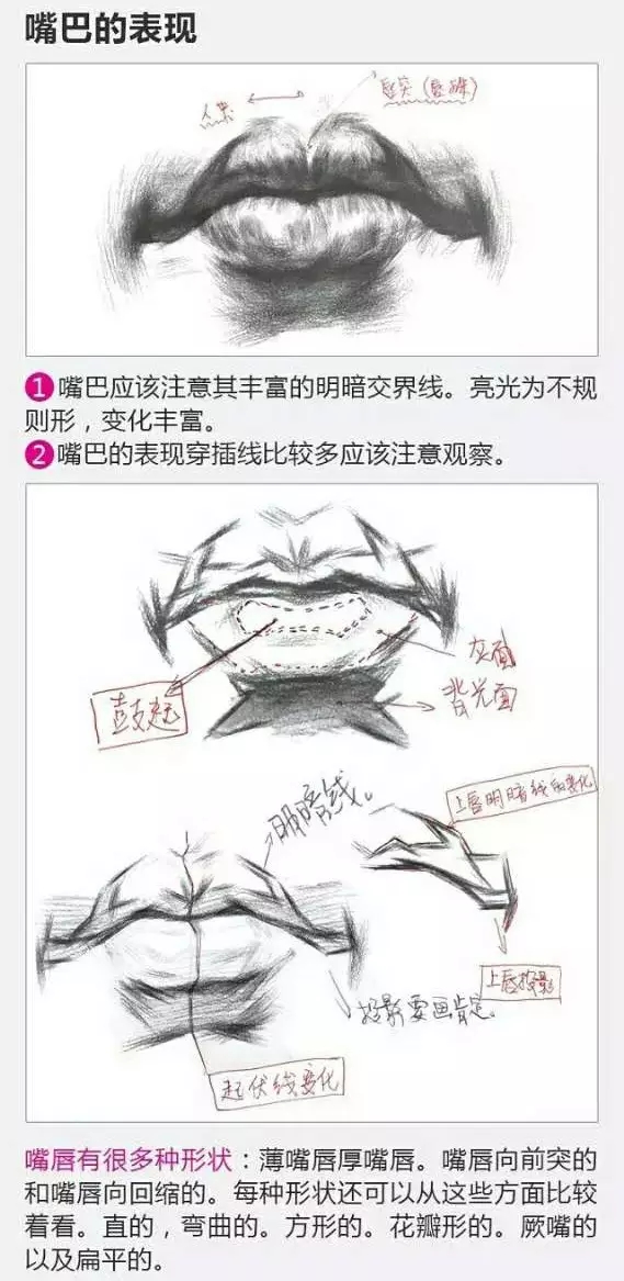 2017年美術(shù)聯(lián)考加分秘籍之頭像五官透徹解析