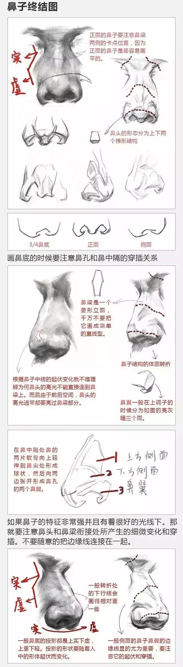 2017年美術(shù)聯(lián)考加分秘籍之頭像五官透徹解析