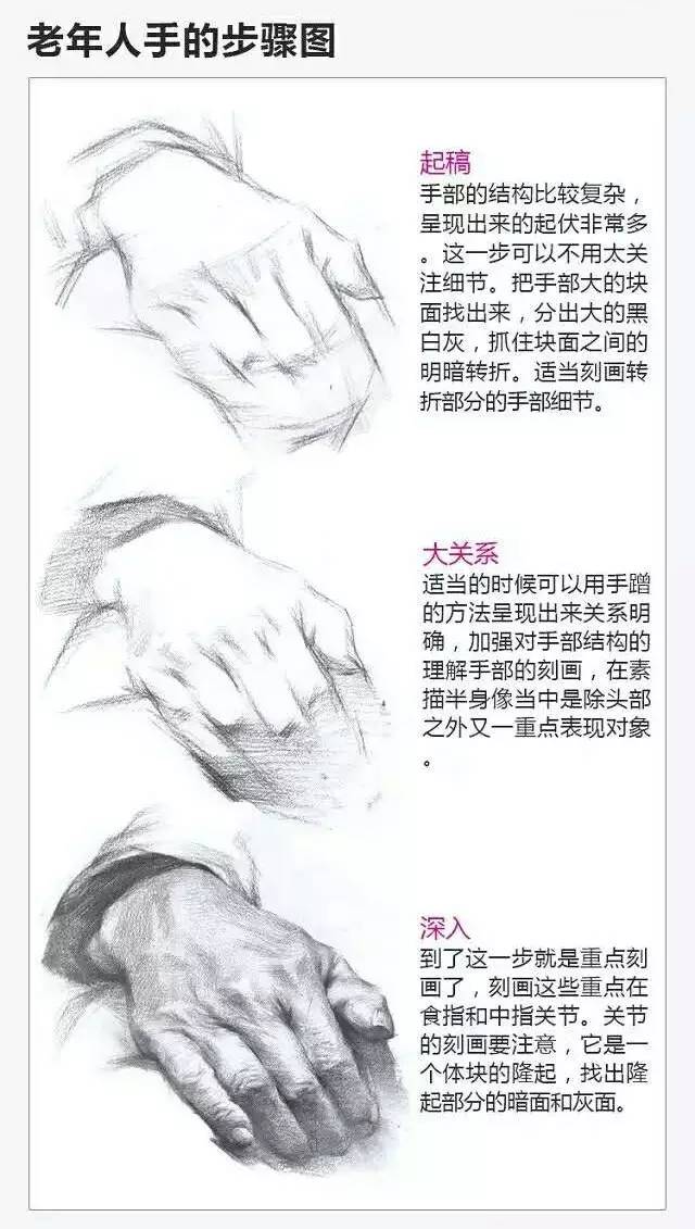 2017年美術(shù)聯(lián)考加分秘籍之頭像五官透徹解析