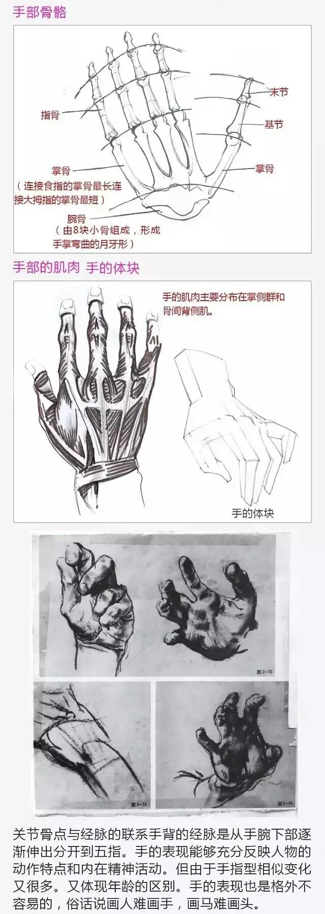 2017年美術(shù)聯(lián)考加分秘籍之頭像五官透徹解析