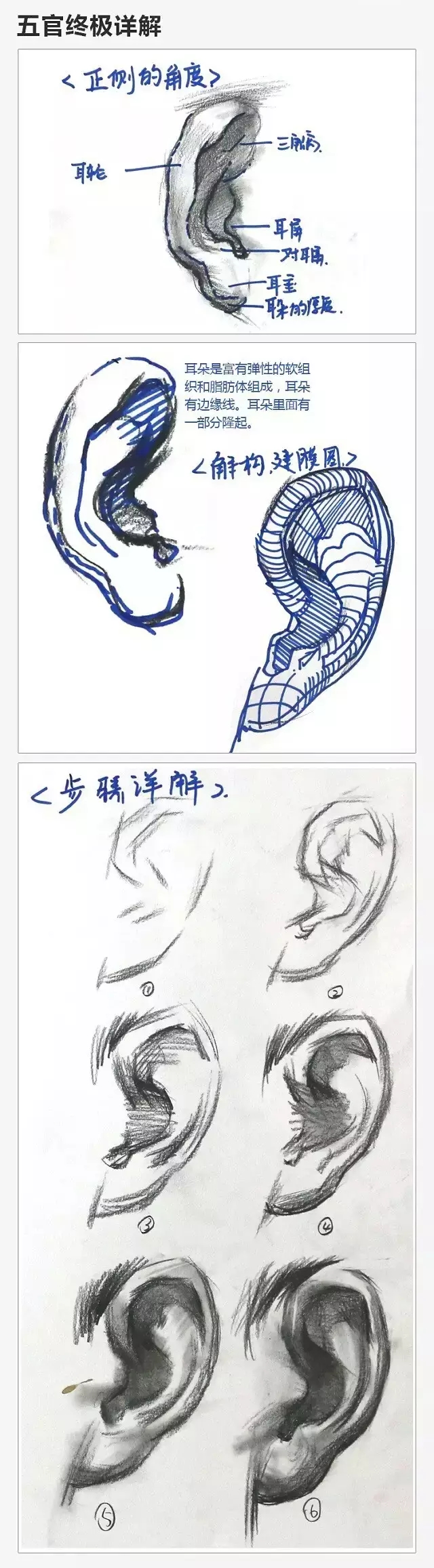 2017年美術(shù)聯(lián)考加分秘籍之頭像五官透徹解析
