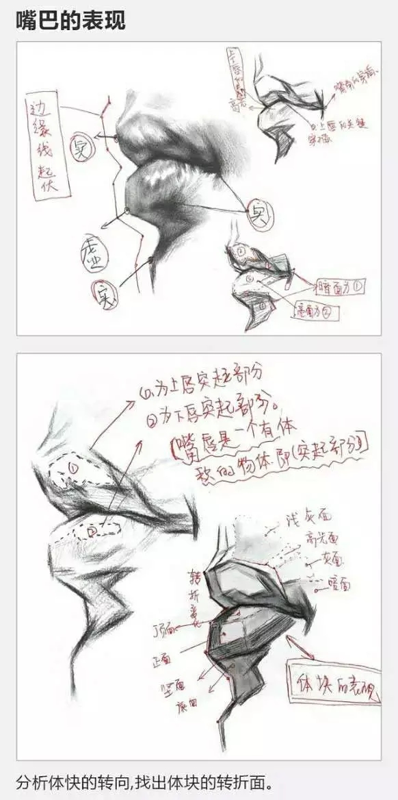 2017年美術(shù)聯(lián)考加分秘籍之頭像五官透徹解析