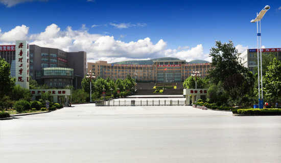 齊魯理工學(xué)院2017年書法學(xué)、空中乘務(wù)專業(yè)報名考試說明