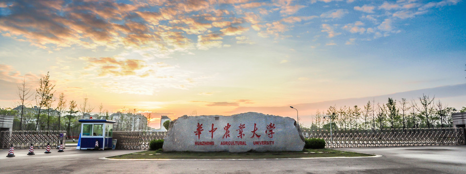 華中農(nóng)業(yè)大學(xué)2017年美術(shù)類招生簡(jiǎn)章
