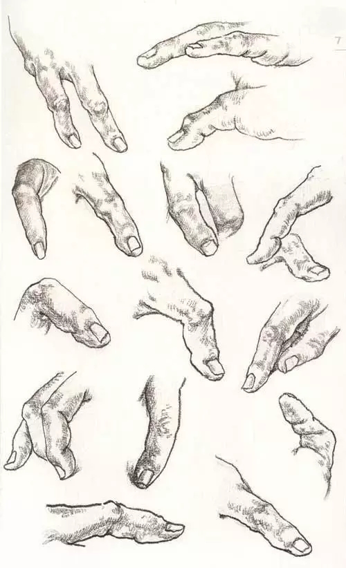 美術(shù)生最不愛(ài)畫(huà)的這些畫(huà)！看哪個(gè)戳中了你？