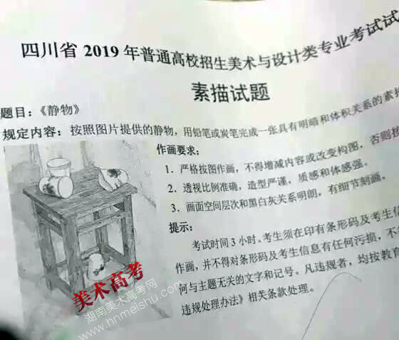2019四川省美術(shù)聯(lián)考素描統(tǒng)一考試題目