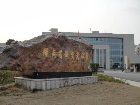 2019年省外高校來(lái)湖南省組織藝術(shù)類專業(yè)考試工作的通知安排