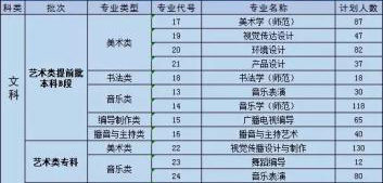 安陽學院2019年藝術類分省招生計劃