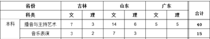 湖南信息學(xué)院2019年藝術(shù)類分省招生計劃