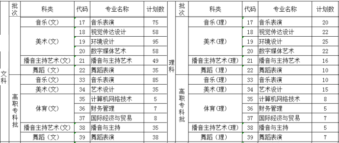湖南信息學(xué)院2019年藝術(shù)類分省招生計劃