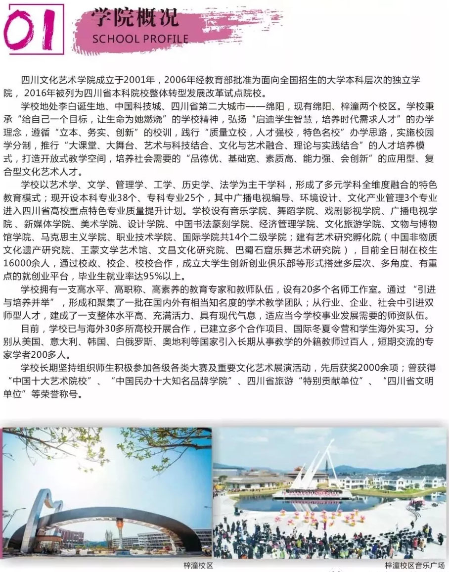 四川文化藝術(shù)學(xué)院2020年招生簡介