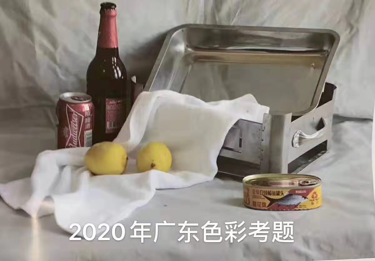 2020年廣東美術(shù)聯(lián)考色彩考題