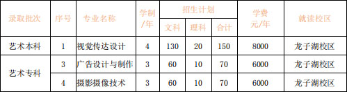 河南財(cái)政金融學(xué)院2020年河南省藝術(shù)類專業(yè)招生計(jì)劃